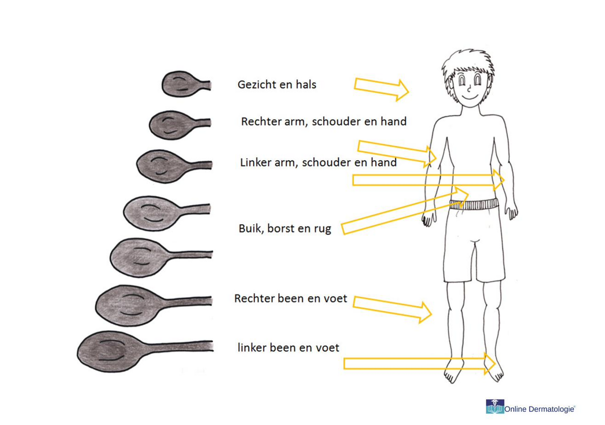 Vier goede zongewoonten